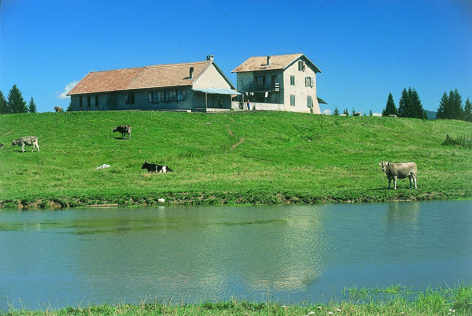 Alaska Clubresidence Folgaria Exterior foto